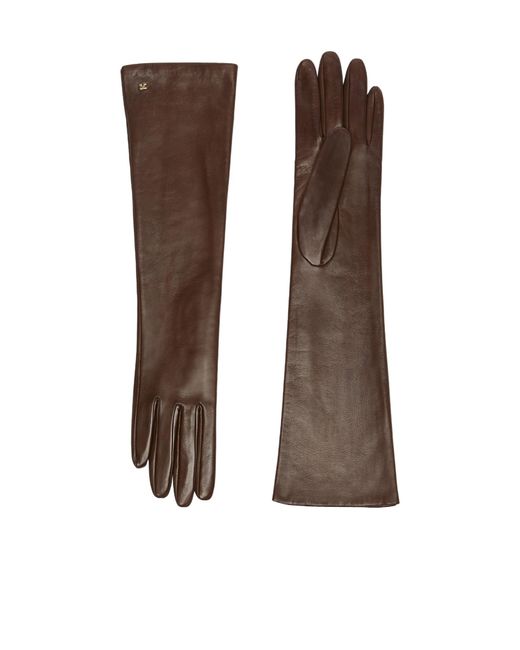 Max Mara Brown Afidee Gloves