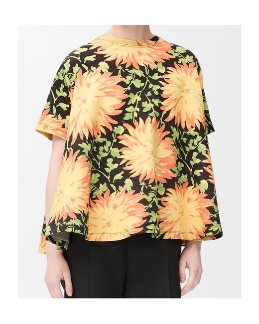Loewe Metallic Trapeze Top