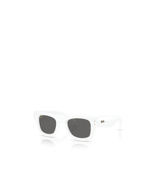 Ray-Ban Metallic Frame Sunglasses for men