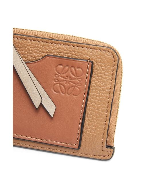 Loewe Multicolor Anagram Zipped Cardholder