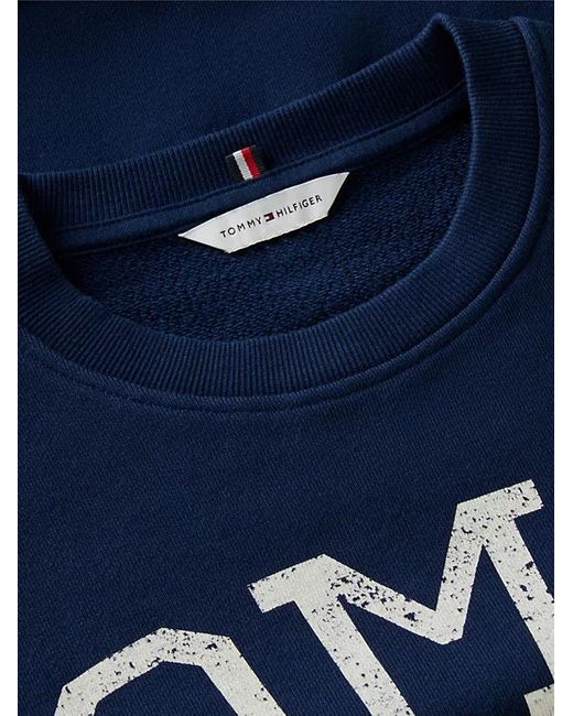 Tommy Hilfiger Blue Sweatshirt Varsity Crest Modern
