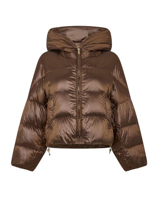 Max Mara Brown Short Puffer Jacket