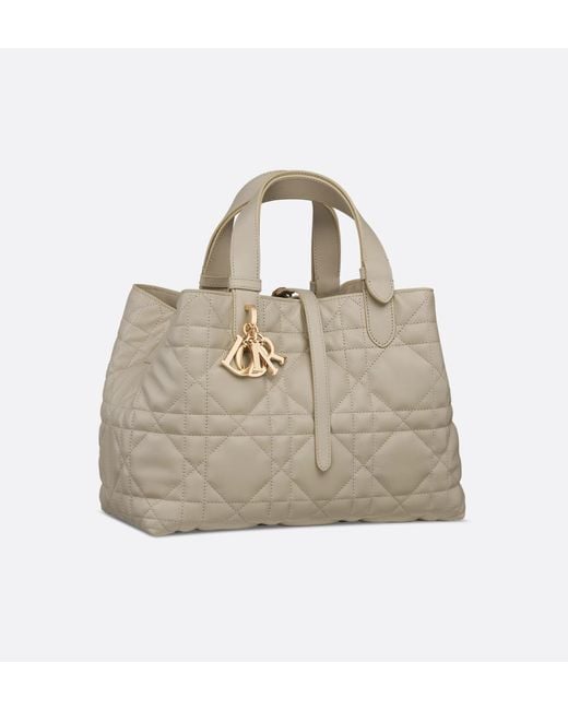 Dior Metallic Medium Toujours Bag