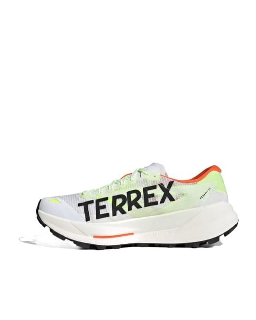 Adidas Originals Metallic Terrex Agravic Tt Running Shoes for men