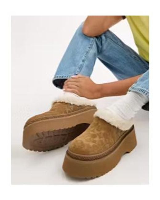 COACH Brown Logo Signature Cecelia Clogs