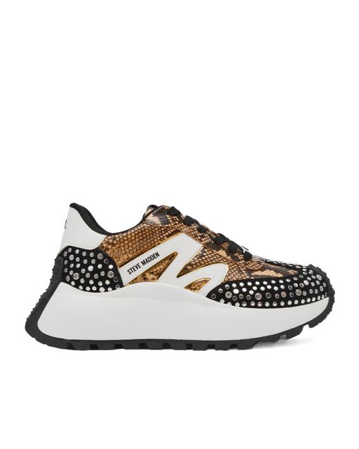 Steve Madden Multicolor Low-Top Casual Shoes