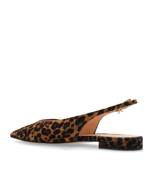 Gianvito Rossi Brown Leopard Printed Pointed Toe Flat Shoes