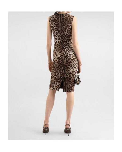 Dolce & Gabbana Brown Leo-Print Charmeuse Dress