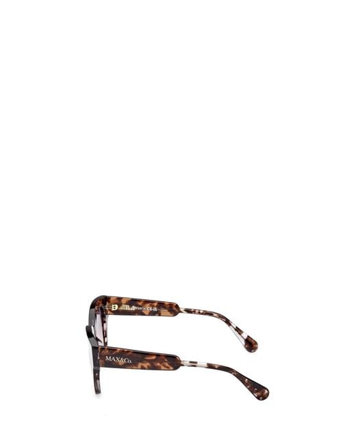 MAX&Co. Multicolor Full Frame Sunglasses