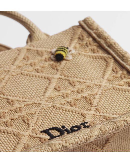 Dior Metallic Mini Book Tote With Strap
