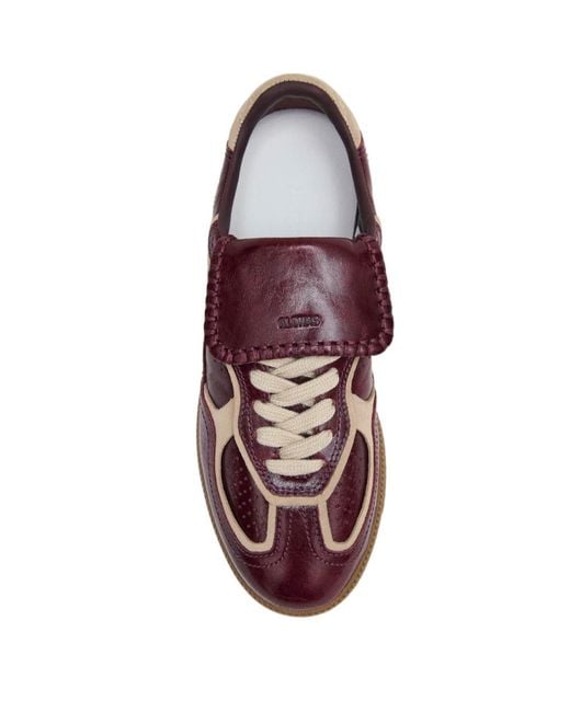 Alohas Brown Tb.490 Club Sneakers