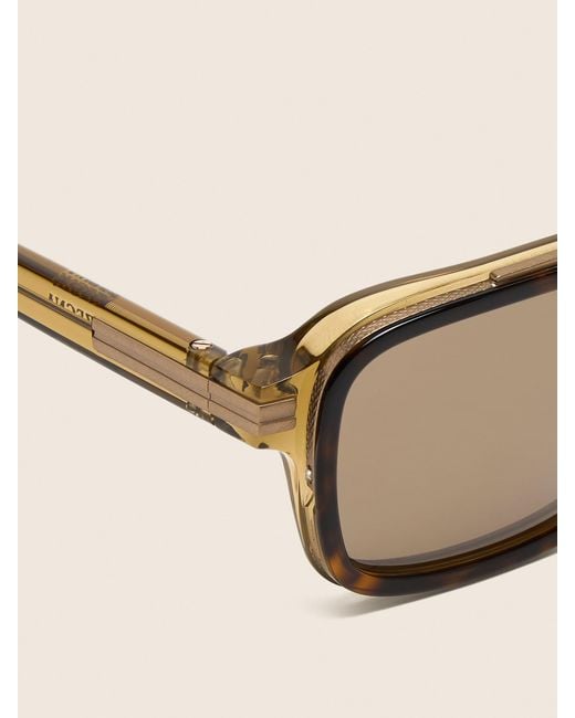 Zegna Brown Pilot Frame Sunglasses for men
