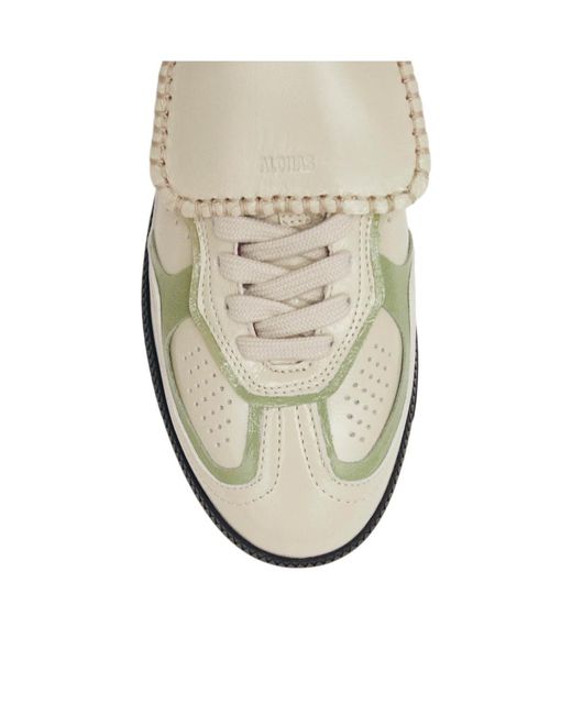 Alohas Multicolor Tb.490 Club Sneakers