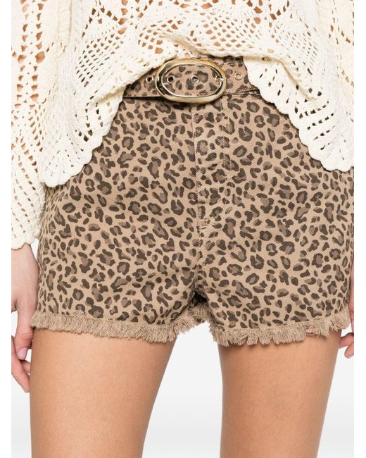 Twinset Brown Animal-Print Belted Shorts