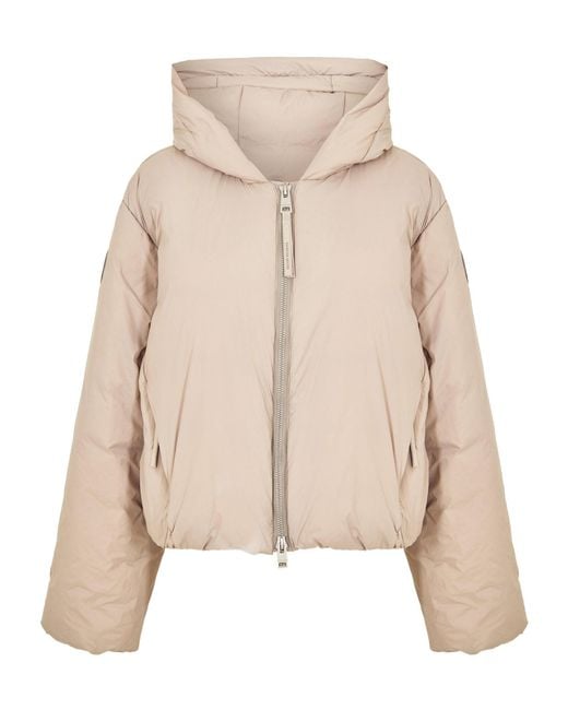 Canada Goose Natural Hooded Short Padded Jacket