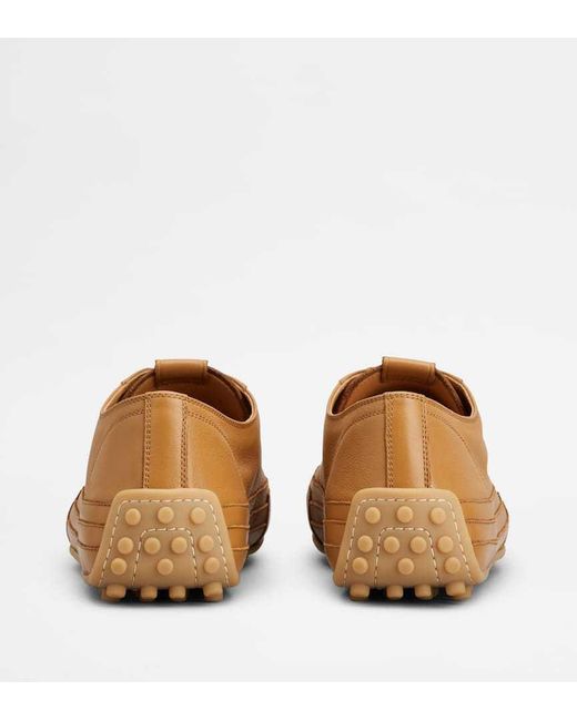 Tod's Brown Leather Sneakers for men
