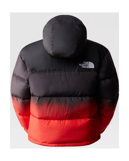 The North Face Red Long-Sleeved Quilted Down Jacket