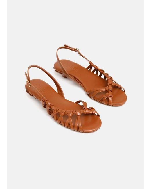 Chloé Brown Chloé Estra Strap Detailed Sandals