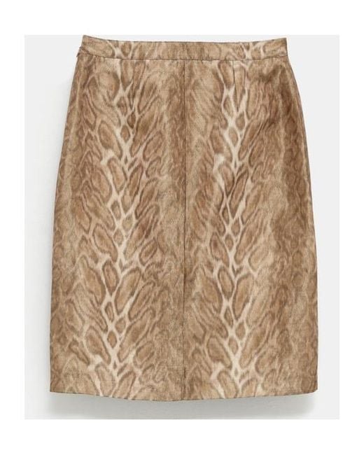 Céline Natural Pencil Skirt