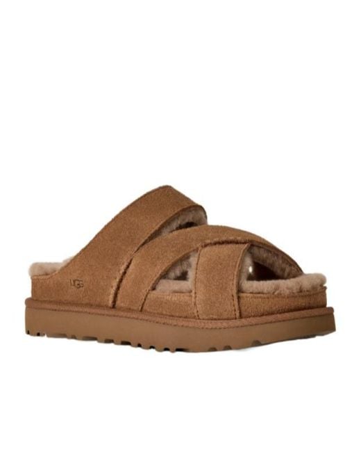 Ugg Brown Greenport Slippers