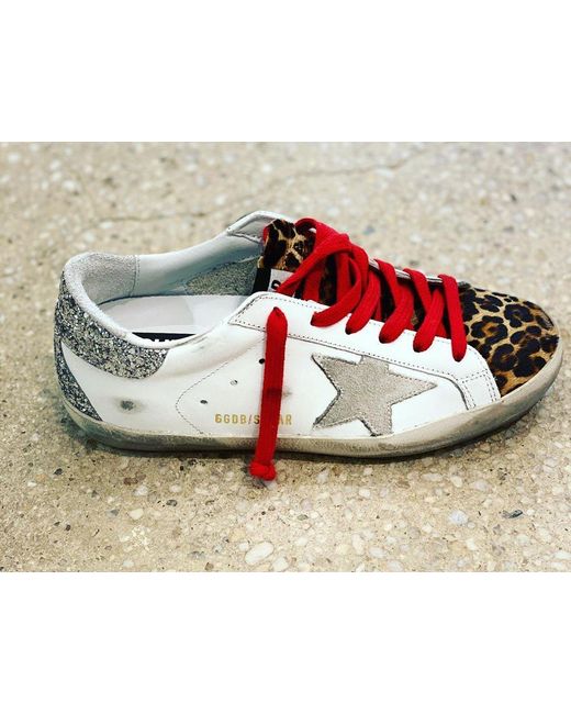 Golden Goose Deluxe Brand Multicolor Superstar Leopard-Print Sneakers