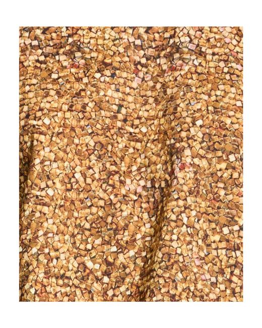 Isabel Marant Brown Crew-Neck Cropped Top