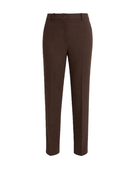 P.A.R.O.S.H. Brown Casual Trousers With Belt Loops