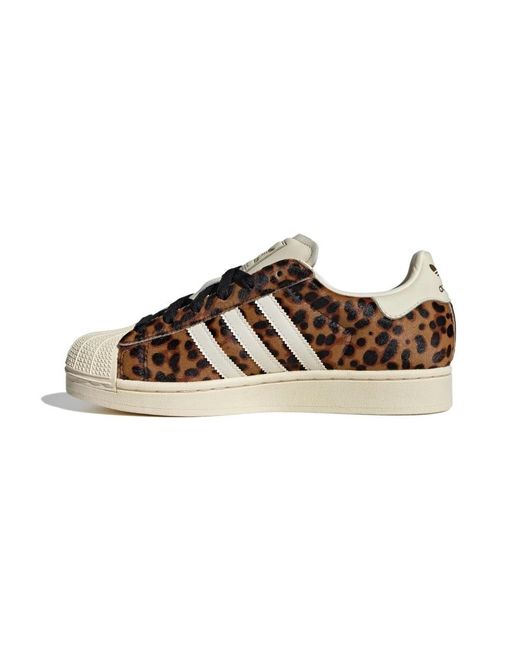Adidas Originals Brown Superstar Ii Shoes