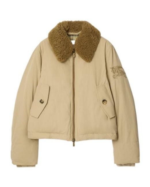 Burberry Natural Shearling Collar Gabardine Jacket