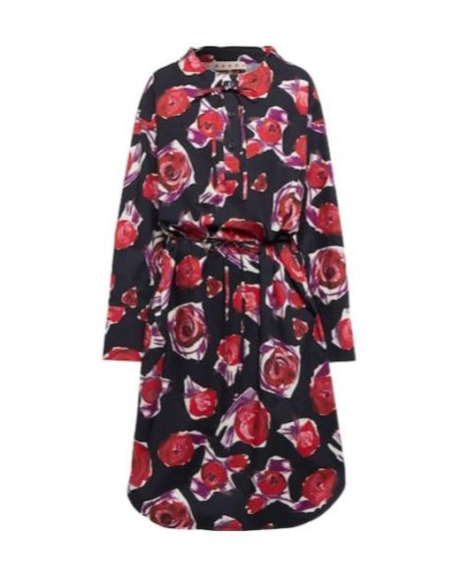 Marni Red Floral Cotton Midi Dress