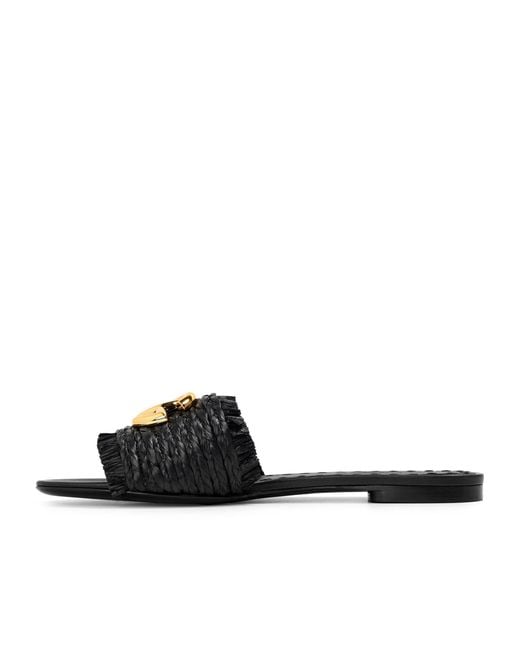 Dolce & Gabbana Black Solid Flat Shoes