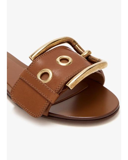 Dolce & Gabbana Brown Buckle Strap Flat Sandals
