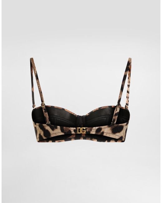 Dolce & Gabbana Brown Leopard Printed Bra