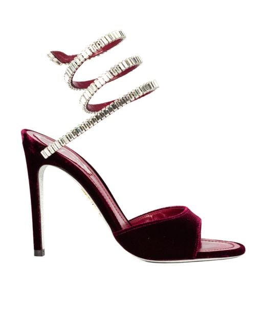 Rene Caovilla Multicolor René Caovilla Spark Velvet Sandals