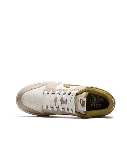 Nike Multicolor Dunk Low Sneakers for men