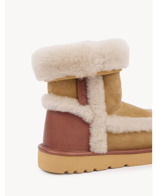 Chloé Natural Chloé Dolcie Ankle Boots