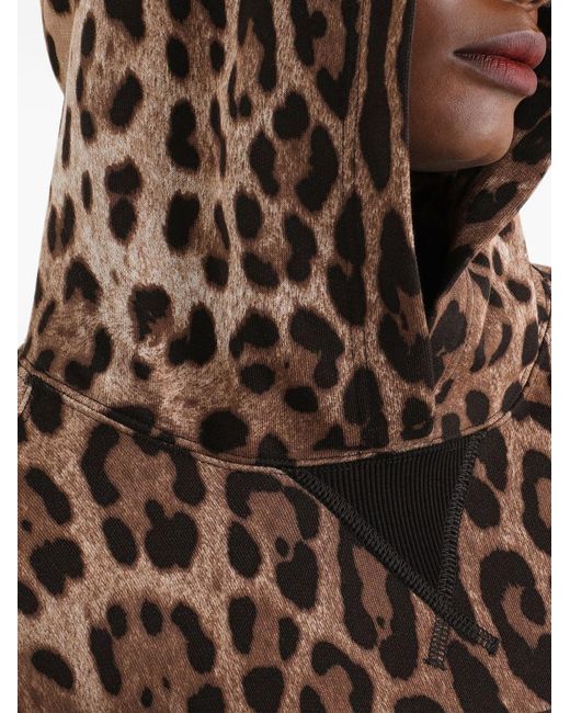 Dolce & Gabbana Brown Leo-Print Cotton Hooded Sweatshirt