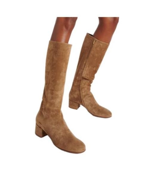 Gianvito Rossi Brown Suede Knee-High Boots