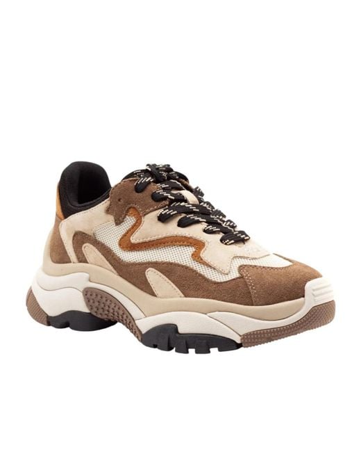 Ash Brown Round-Toe Sneakers
