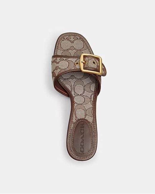 COACH Brown 55Mm Margot Buckle Heeled Sandals