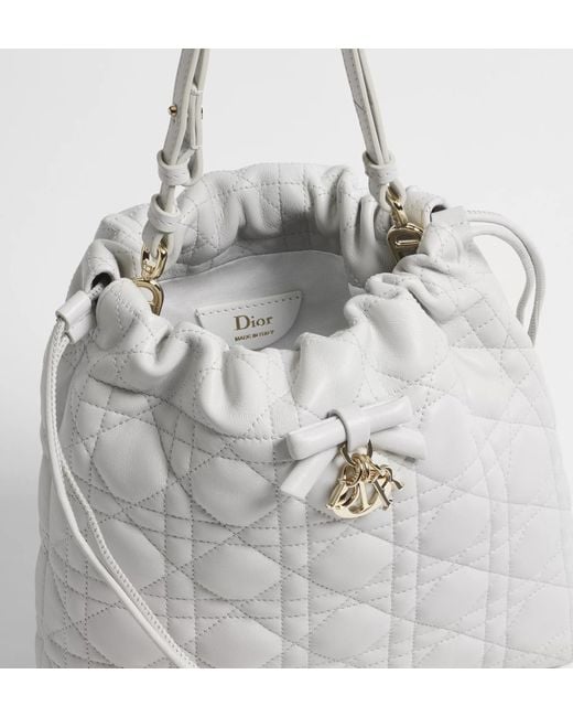 Dior Gray Aable Mini Bucket Bag