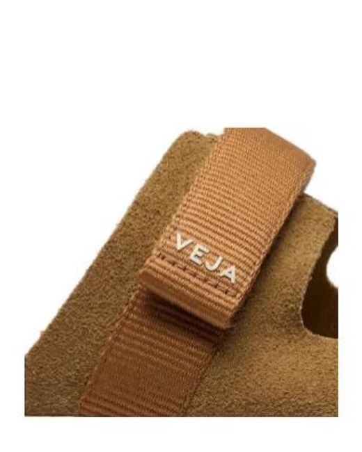 Veja Brown Arpoador Strap Flat Sandals for men