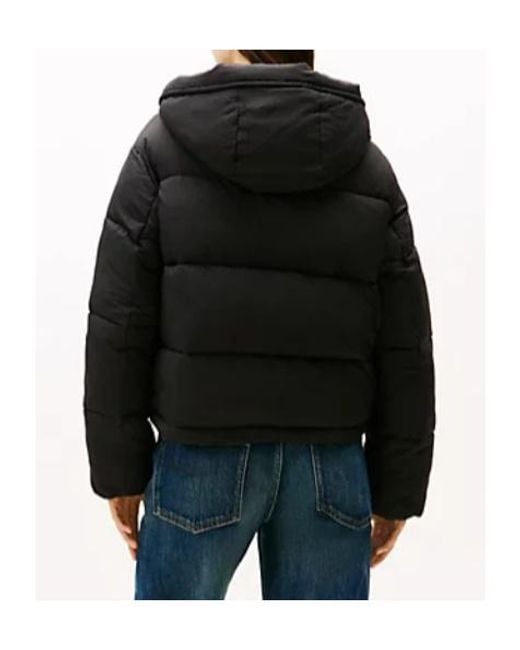 Tommy Hilfiger Black Long-Sleeved Hooded Cotton Jacket