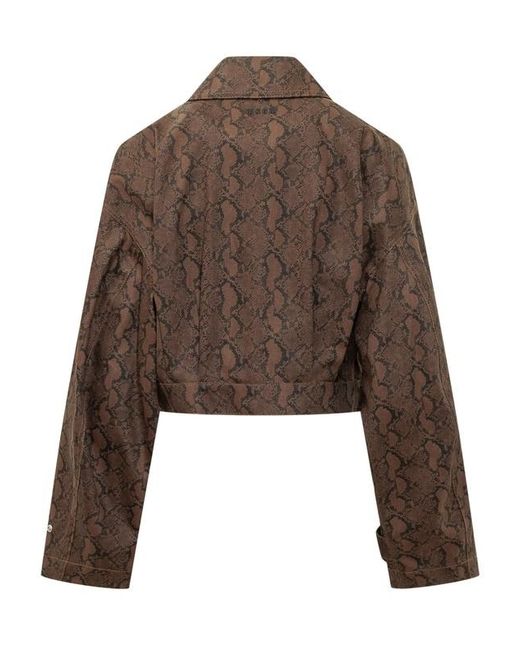 MSGM Brown Cropped Belted Patterned Jacket