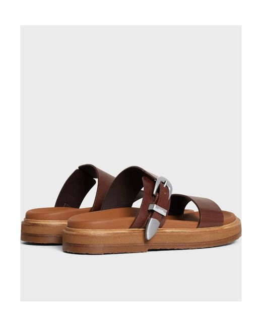 Céline Brown Tippi for men