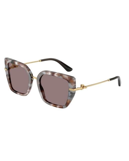 Dolce & Gabbana Brown Eyewear Butterfly Frame Sunglasses