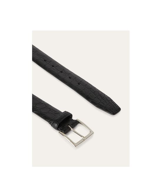 Loro Piana White Owen Belt for men