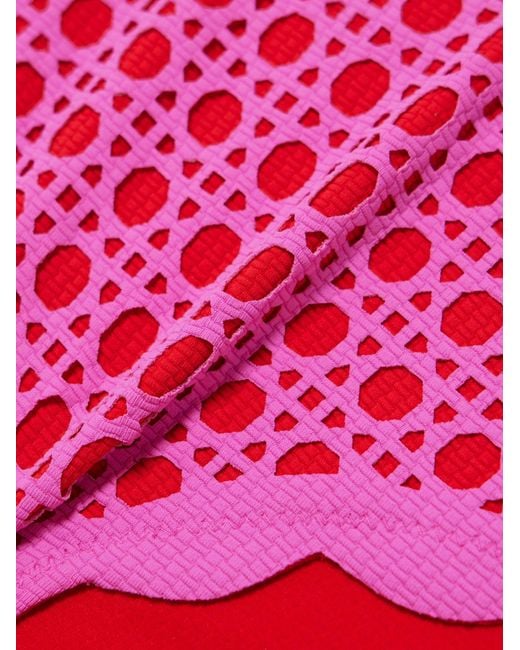 Marysia Swim Pink Spring Scalloped Laser-Cut Bikini Briefs