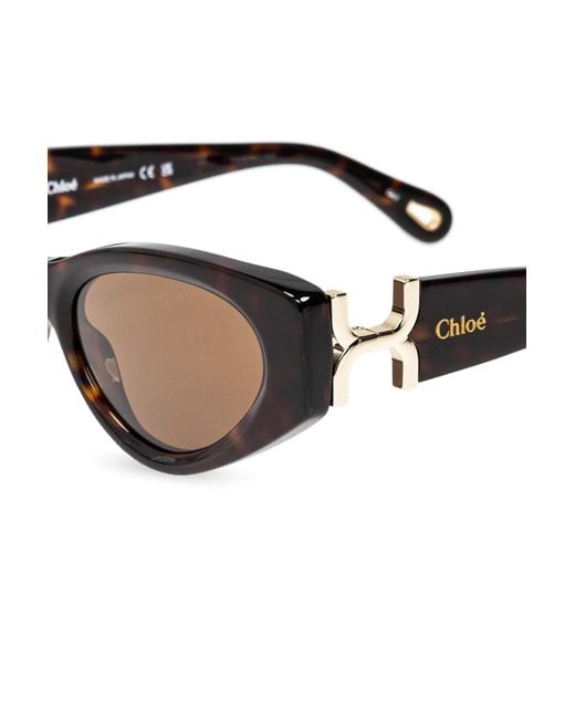 Chloé Multicolor Chloé Eyewear Marcie Cat-Eye Frame Sunglasses