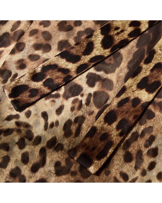Dolce & Gabbana Brown Minimalist Leopardprint Shirt